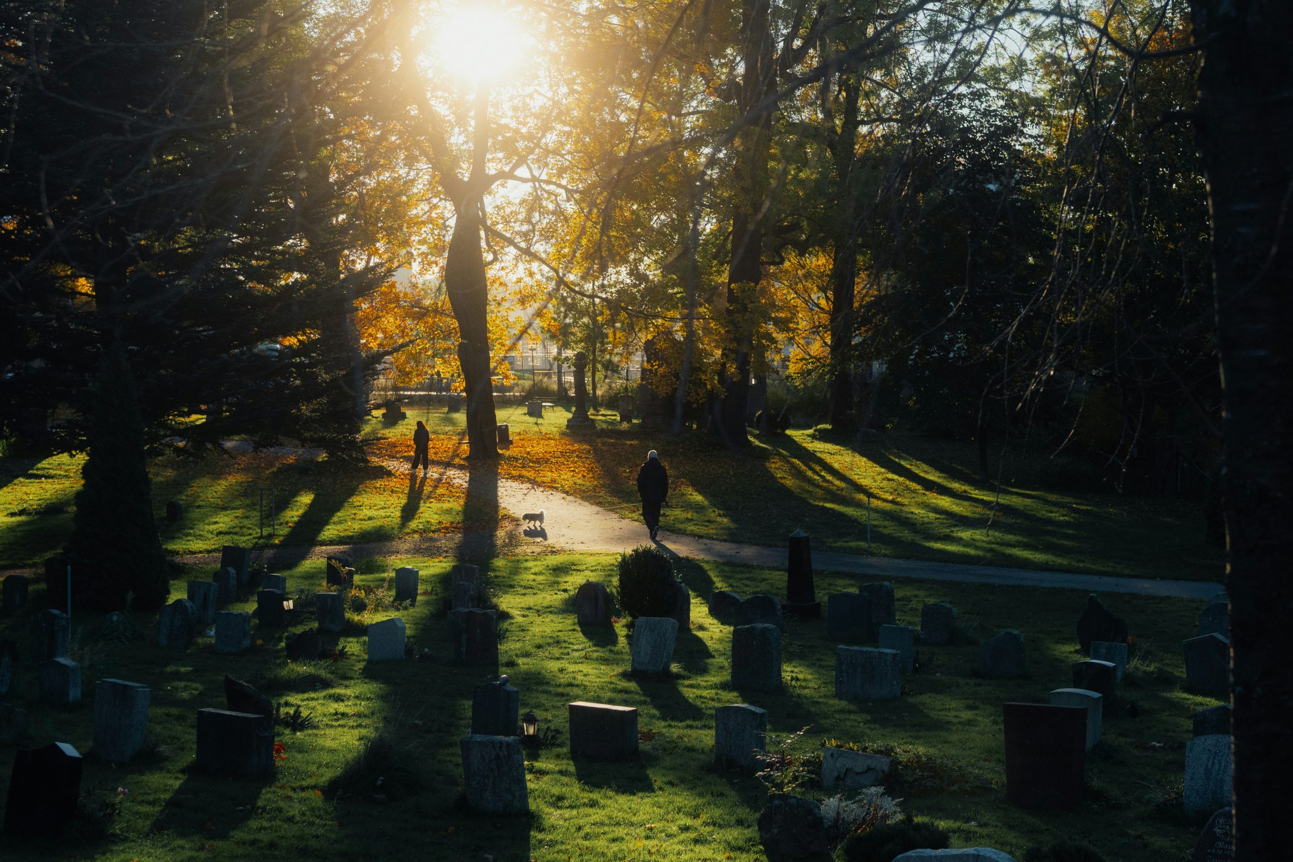 Graveyard at sunset with light beaming through the trees, casting shadows | What Is a Prepaid Funeral Plan? Costs, Pros, and Cons | Family Funeral Funding - Helping Families with After Death Expenses | Bridging the gap between families, funeral homes and life insurance companies.